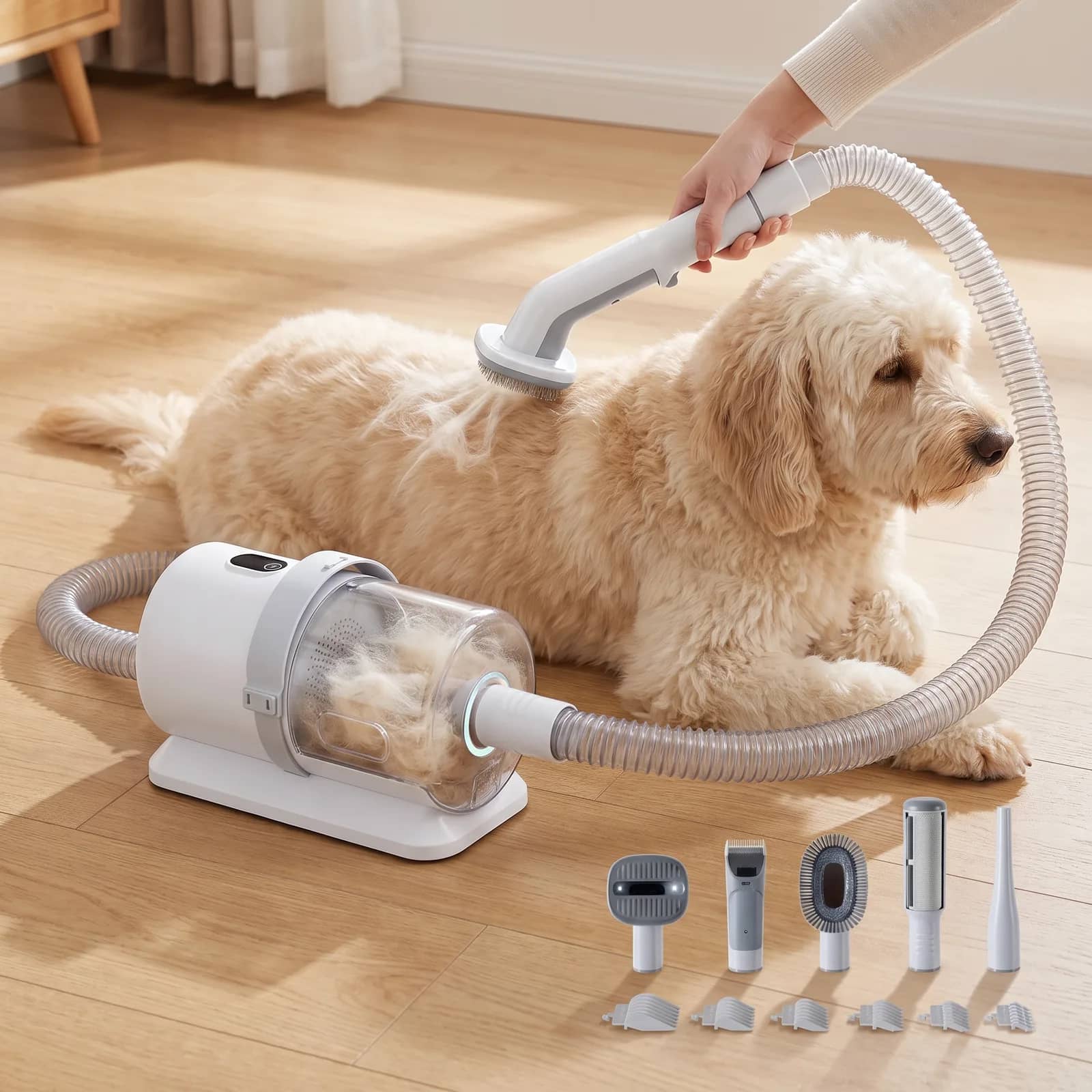 Brushing a calm goldendoodle with the grooming vacuum, loose fur pulled into the hose