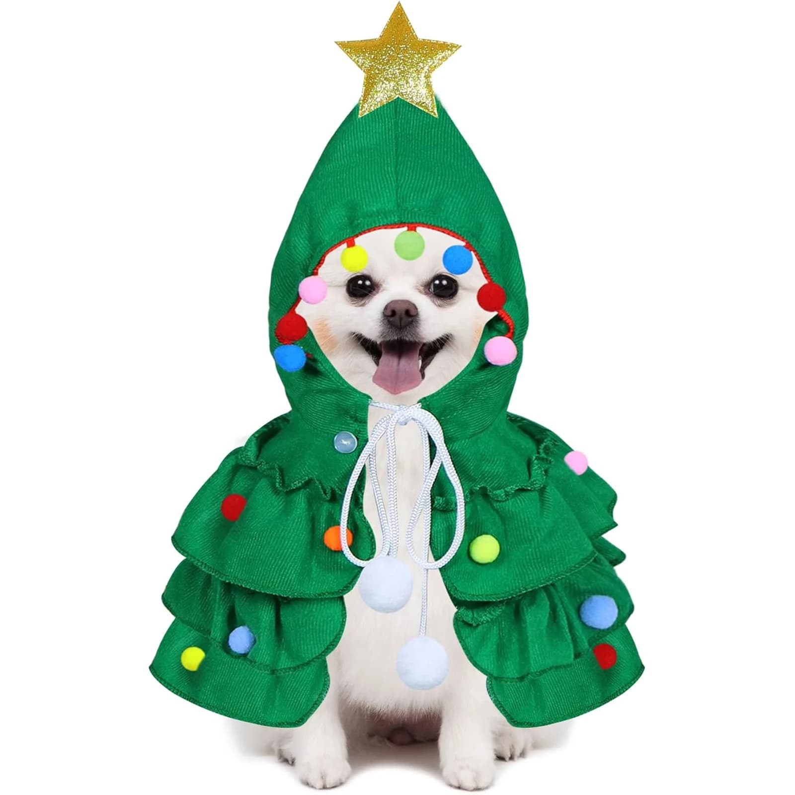 Small white dog standing in the green Christmas tree costume with a gold star on the hood