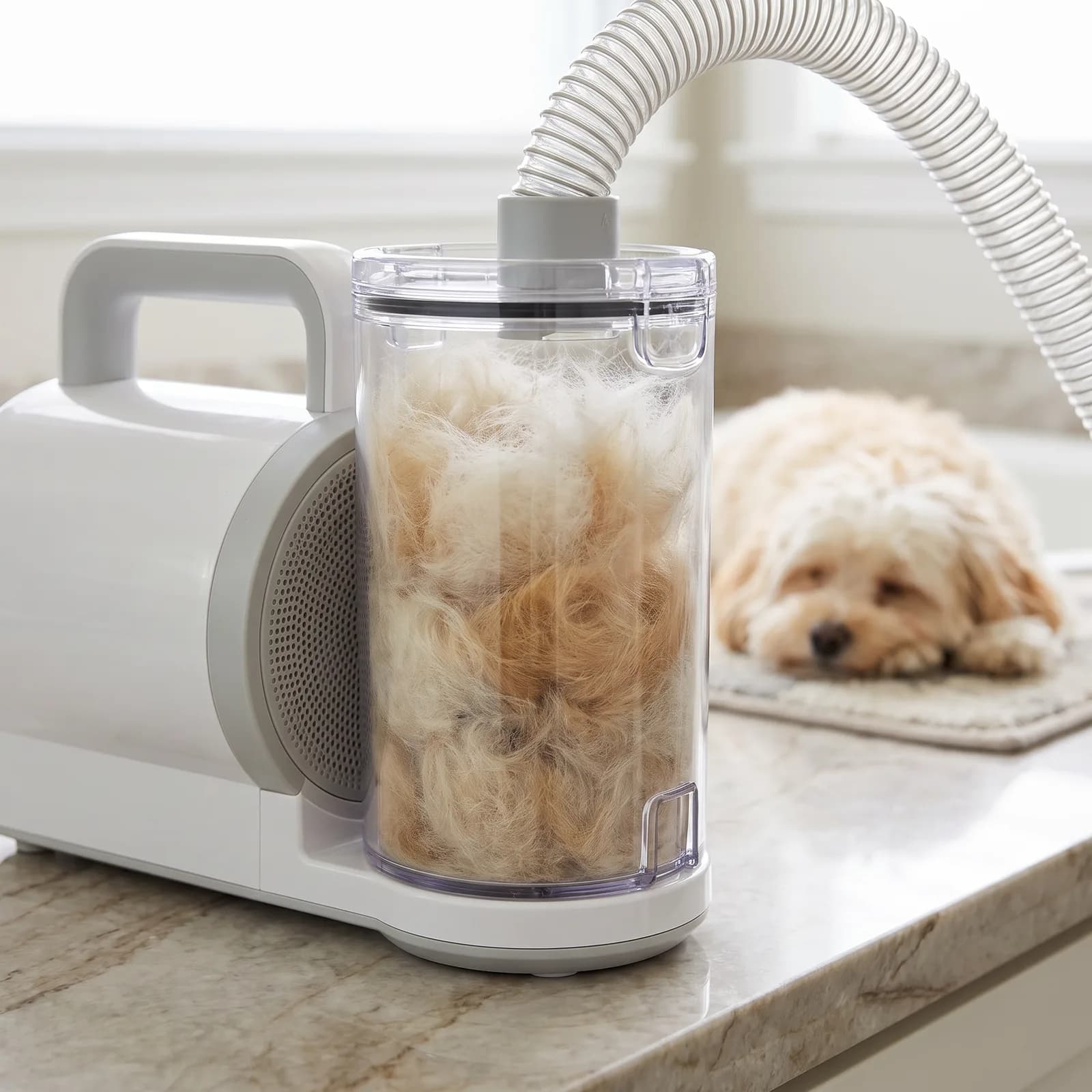 The clear 2.5 litre dust cup packed with collected dog fur