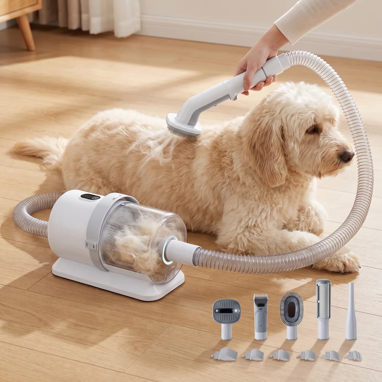 Brushing a calm goldendoodle with the grooming vacuum, loose fur pulled into the hose