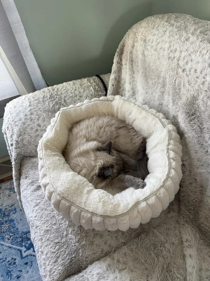 Customer photo