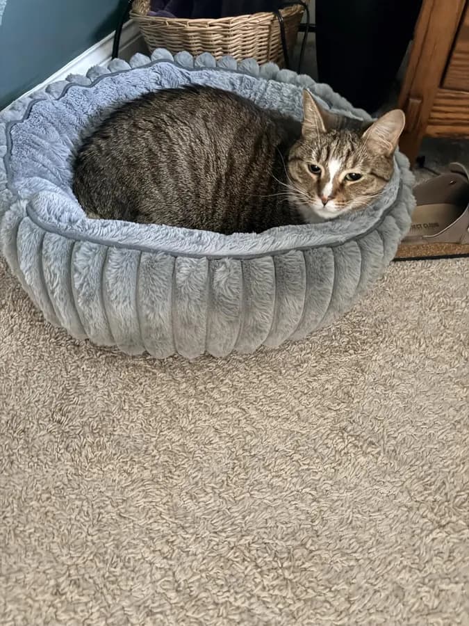 Customer photo
